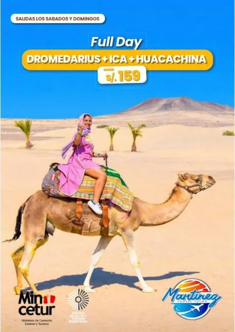 Dromedarius + Ica + Huacachina – Full Day