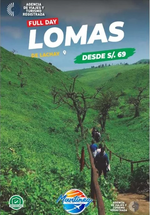 Lomas de Lachay – Full Day